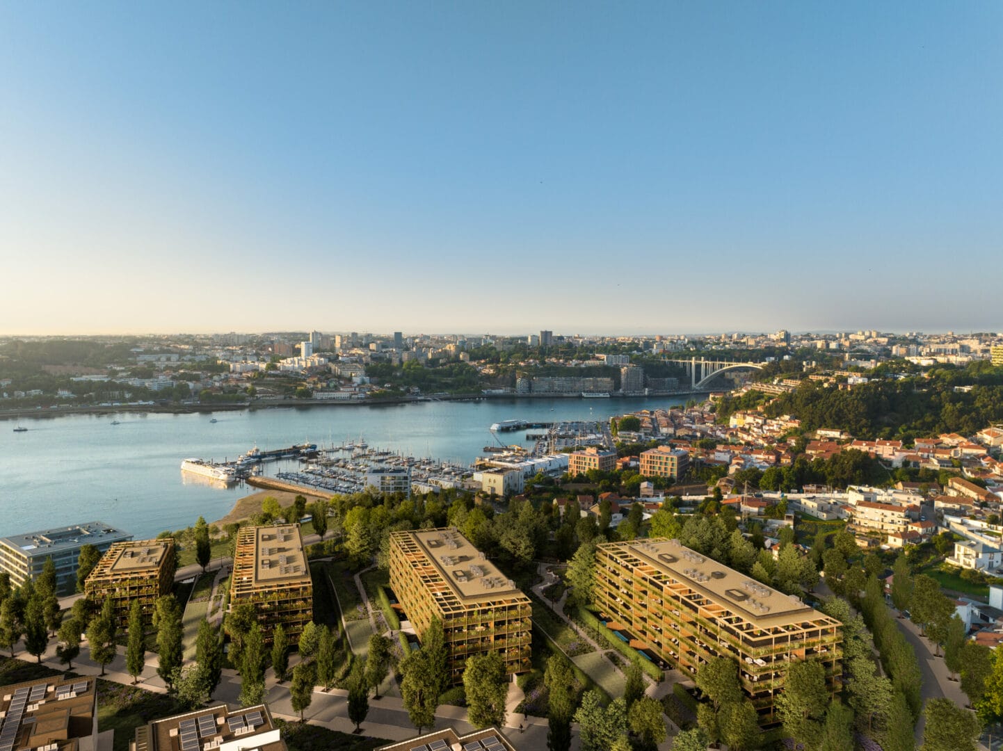 CF_DJI_751_SUNSET_008b