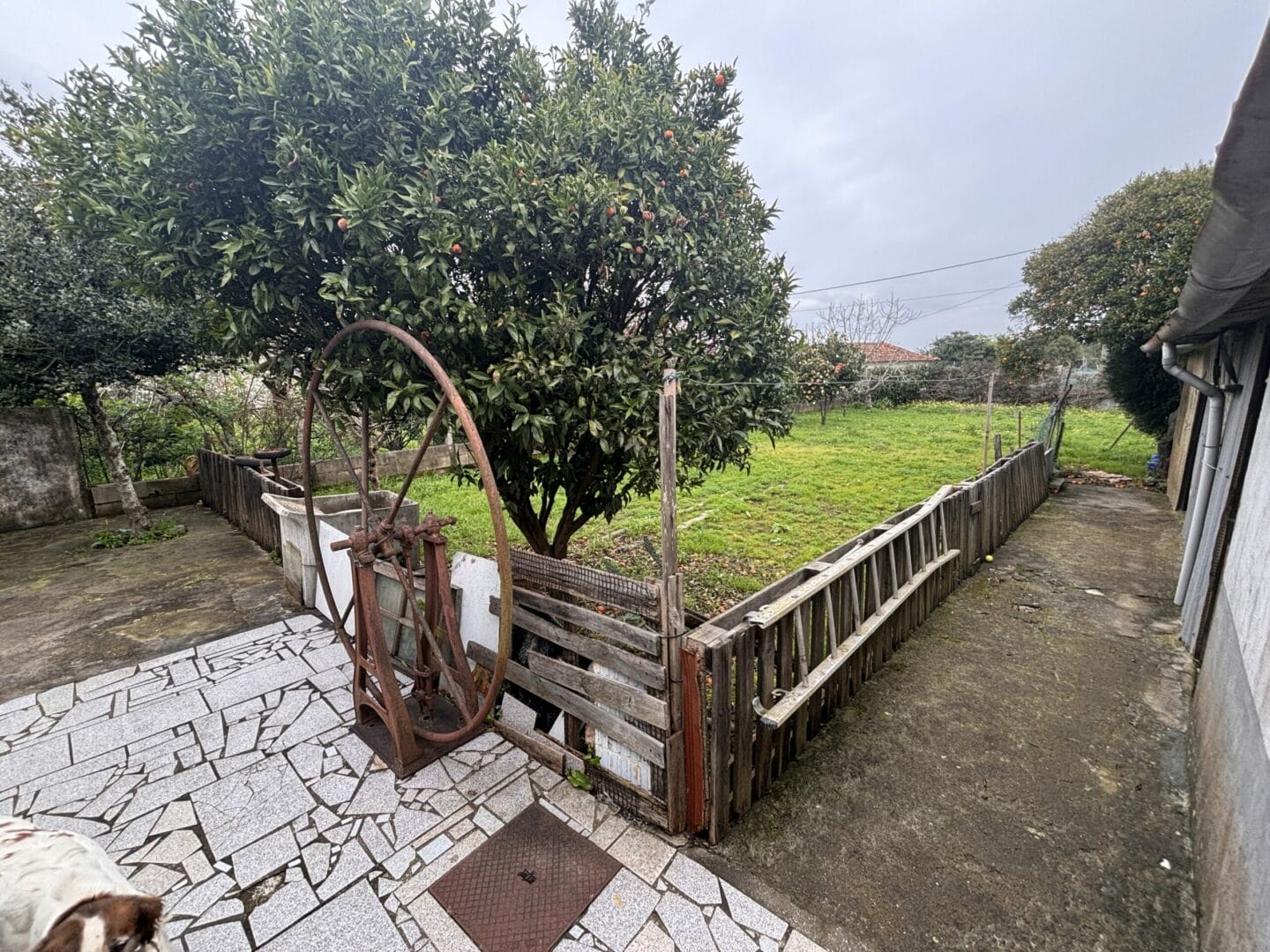 Moradia Grijo 025
